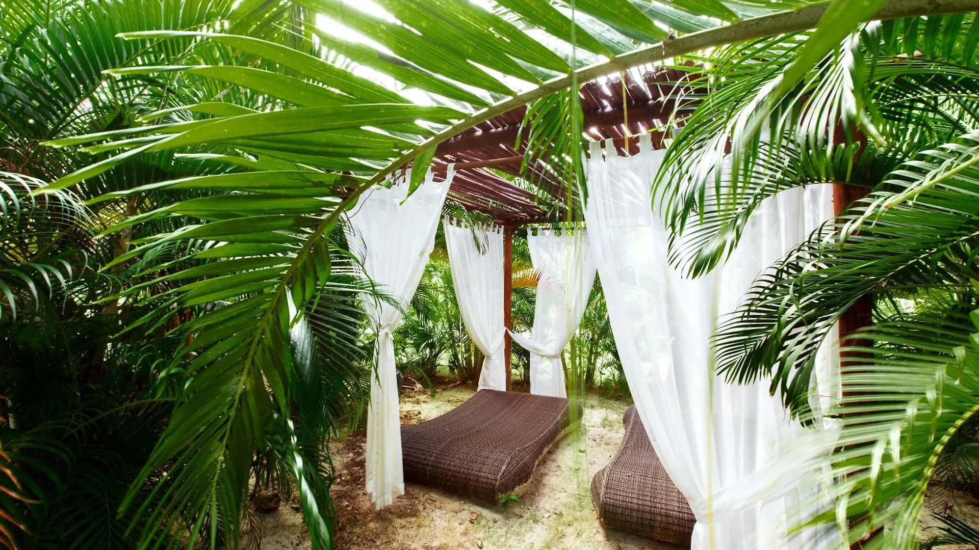 Tropicana Suites Deluxe Playa Los Corales Punta Cana Hotel